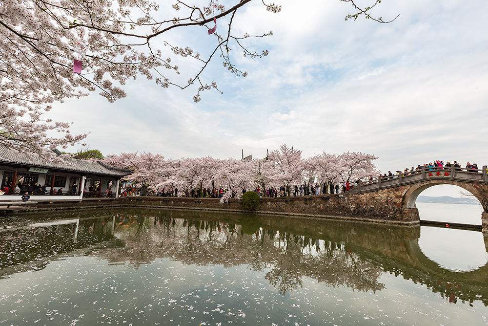 电影《无价之宝》北京首映礼 硬核改装一家欢聚 为初冬带来温情光影